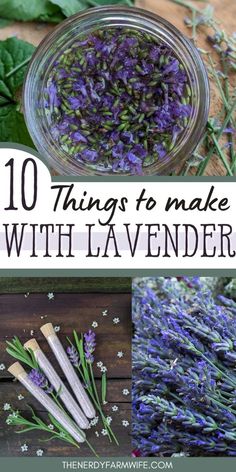 lavender flowers and herbs with text overlay that reads 10 things to make with lavender