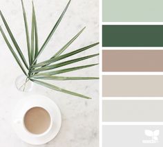 a cup of coffee next to a palm leaf and color swatches on a marble surface