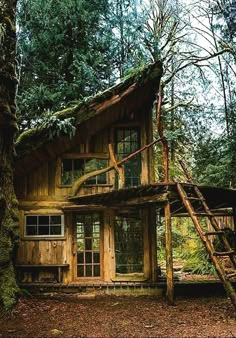 a small cabin in the woods with a ladder leading up to it's roof