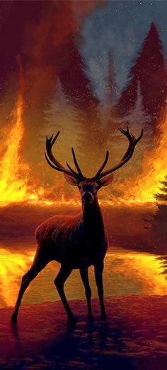 a deer standing in front of a fire filled forest