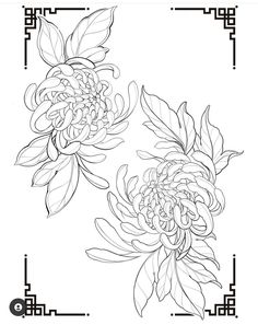 two flowers are shown in black and white, with the number one on each side