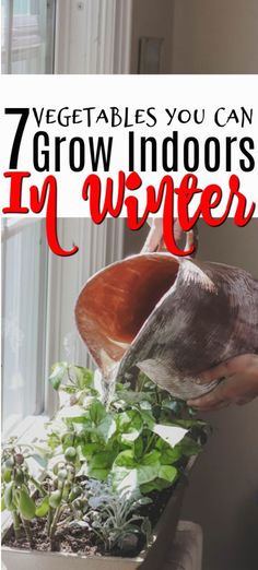 a person pouring water into a potted plant with text overlay that reads, 7 vegetables you can grow indoors in winter