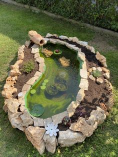 a small pond in the middle of a lawn with rocks around it and plants growing on top