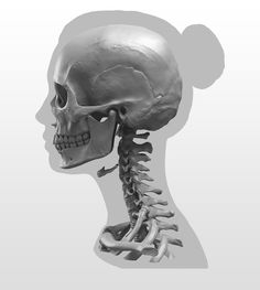 an image of a human head with bones in the neck and upper part of it