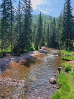 a river running through a lush green forest