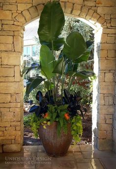 a large potted plant sitting on top of a tiled floor next to a stone wall