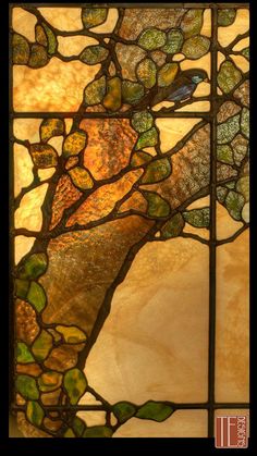 Stained Glass Window, Painted Glass, Stained Glass Patterns, Oak Tree, Stained Glass Art, Dream House Decor, Sun Catcher, Stained Glass Windows, Dream Home Design