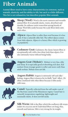 the different types of animals that can be found in an animal's body, including sheep