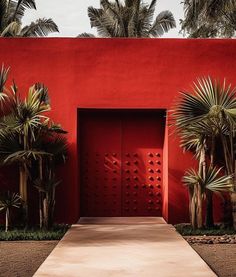 a red building with palm trees in front of it and a walkway leading to the entrance