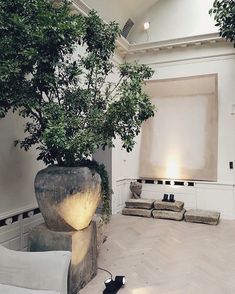 a living room filled with furniture and a tree in the middle of it's floor