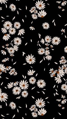 white daisies on a black background with lots of brown dots in the center and bottom