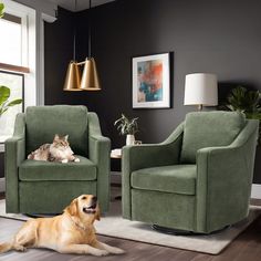 a dog laying on the floor next to two green chairs and a cat sitting in one chair