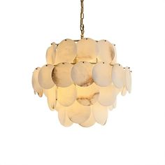 a chandelier made out of shells hanging from a chain on a white background