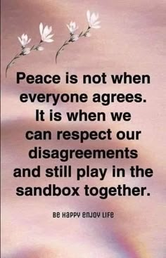 a quote about peace is not when everyone agrees, it is when we can respect our disagreements and still play in the sandbox together