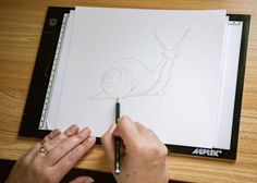 a person is drawing a snail on a piece of paper