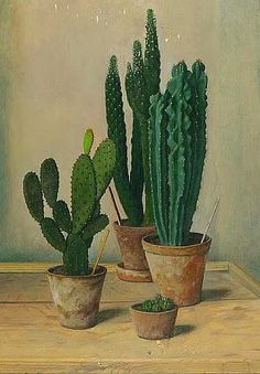 three potted cacti sitting on top of a wooden table