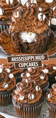 chocolate cupcakes with marshmallows on top and the words mississippi mud cupcakes above them