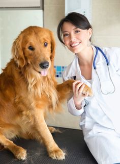 a woman in white lab coat petting a golden retriever