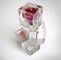 three clear cubes with pink and red flowers in them on a white surface,