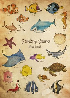 an old poster with different types of fish on it's sides and the words finding neme