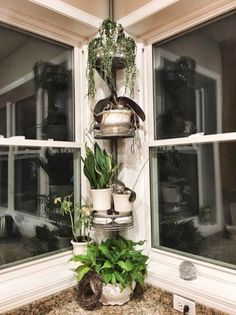 there are many potted plants in the corner of this kitchen window sill,