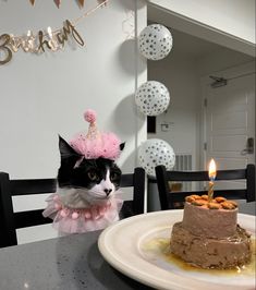 a black and white cat wearing a pink birthday hat sitting in front of a cake