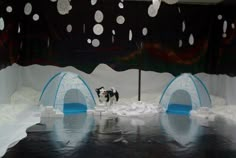 a dog is standing in the middle of an artificial ice rink with snow on it