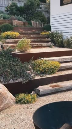 a fire pit sitting in the middle of a yard next to some rocks and plants