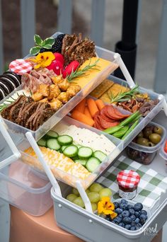 an assortment of meats, cheeses and vegetables in plastic containers on a picnic table