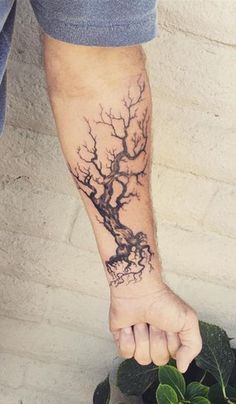 a person with a tree tattoo on their arm