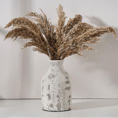 a white vase with some brown flowers in it on a table next to a wall