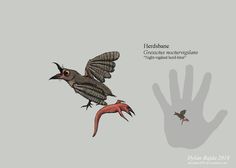 two birds flying next to each other near a hand