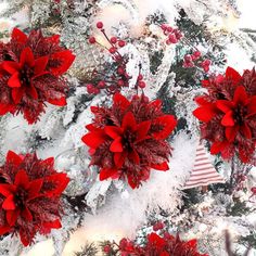 red poinsettis are on the christmas tree in front of snow covered branches