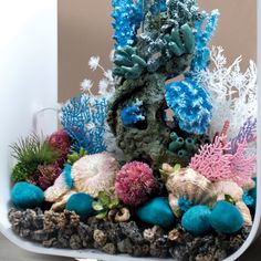 an aquarium filled with corals and other marine life is displayed on a table in front of a wall