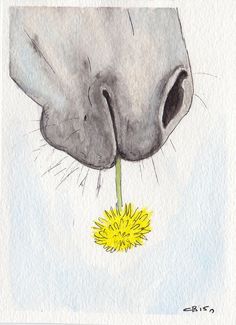 a drawing of a dog smelling a dandelion with its nose to the ground