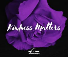 a purple rose with the words, kindness matters