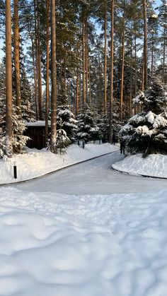 a snow covered path in the middle of a forest