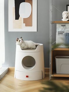 a white cat laying on top of a litter box