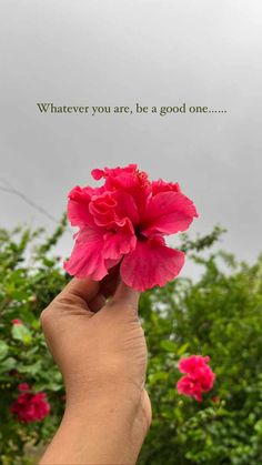 a hand holding a pink flower with the words whatever you are, be a good one