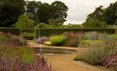 a garden filled with lots of purple flowers