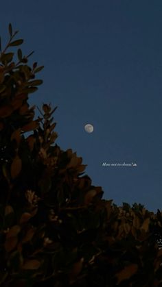 the moon is seen through some leaves on a tree