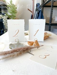 the table numbers are placed on top of each other with feathers in front of them