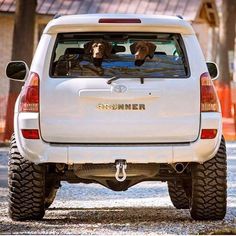 two dogs are sitting in the back of a white truck with four tires and one dog is looking out the window