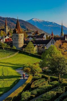 a scenic view of a small town with mountains in the back ground and trees on either side