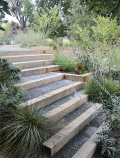 some steps that are next to plants and trees