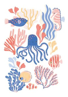 an octopus, fish and other sea creatures