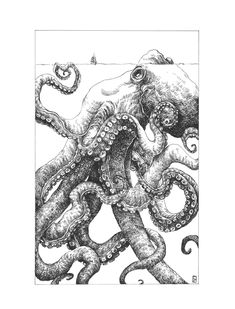 an ink drawing of an octopus in black and white, with the tentacles curled up