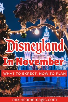 disneyland in november what to expect, how to plan and where to go for christmas