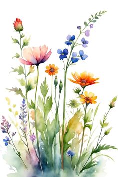 watercolor painting of flowers and plants with blue, yellow, orange and pink colors