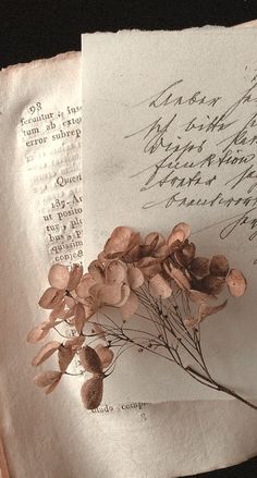 an old letter with dried flowers on it